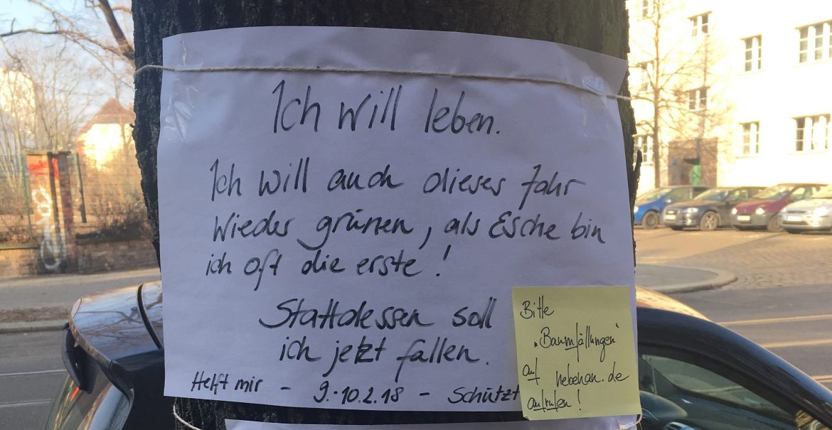 In der Stahlheimer Straße formiert sich Widerstand gegen die Bezirkspläne (Foto: Constanze Nauhaus)