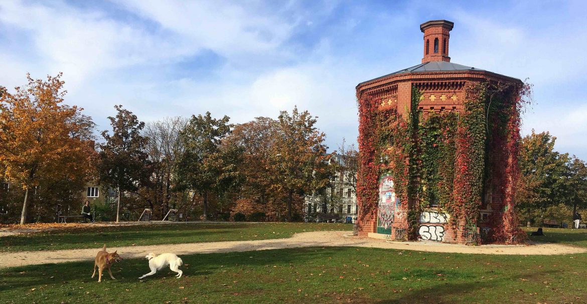 Hunde Wasserturm