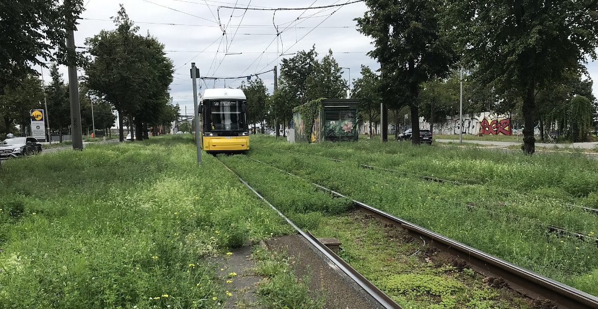 Verkehrsbegleitgrün